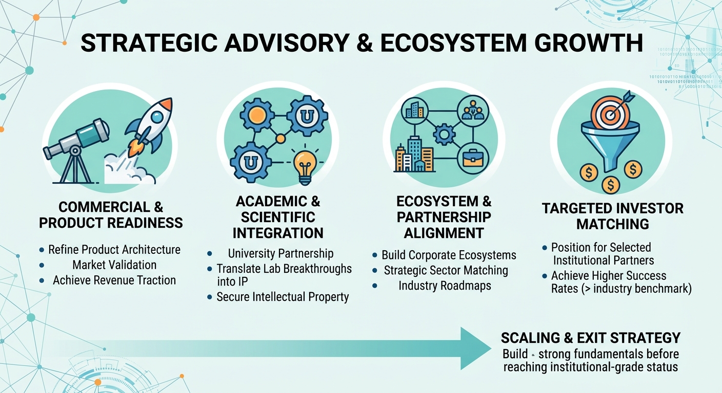 Strategic Advisory Beyond Traditional Venture Capital for Scale-Ups and Research Spin-Outs Sweden